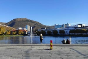 Bergen: tour particular em seu próprio idioma