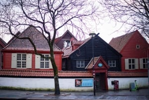 Bergen: tour particular em seu próprio idioma