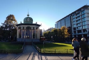 Bergen: tour particular em seu próprio idioma