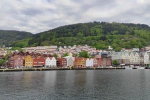 Bergen: tour particular em seu próprio idioma