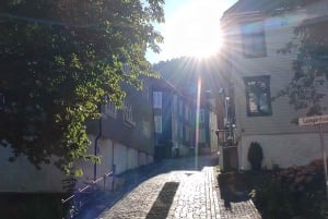 Bergen: tour particular em seu próprio idioma