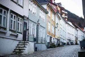 Bergen: tour particular em seu próprio idioma