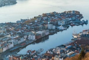 Bergen: Privat vandringstur med en lokal guide