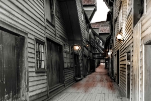 Bergen: Privat transfer till flygplats, stad eller kryssningshamn