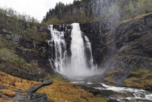 Bergen: Yksityiset vesiputoukset ja Norjan vuonojen ihmeet