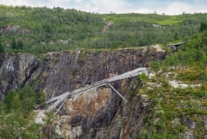 Bergen: Yksityiset vesiputoukset ja Norjan vuonojen ihmeet