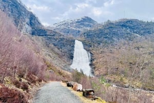 Bergen: Yksityiset vesiputoukset ja Norjan vuonojen ihmeet