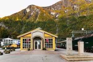 Bergen: Self-Guided Round-Trip Full-Day Excursion