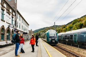 Bergen: Self-Guided Round-Trip Full-Day Excursion
