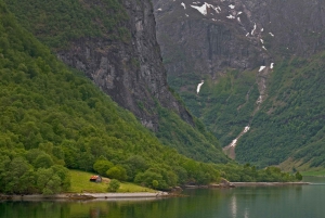 Bergen: Self-Guided Trip to Oslo with Sognefjord cruise (5h)