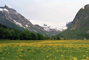 Bergen: Self-Guided Trip to Oslo with Sognefjord cruise (5h)