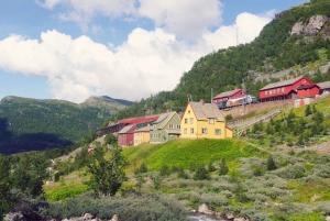 Bergen: Self-Guided Trip to Oslo with Sognefjord cruise (5h)