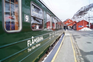 Bergen: Self-Guided Trip to Oslo with Sognefjord cruise (5h)