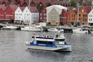 Bergen: Sightseeing Cruise of Bergen's Historic Landmarks