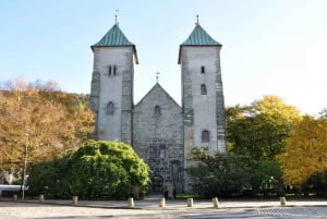 ベルゲン：ベルゲンの歴史的建造物を巡る観光クルーズ