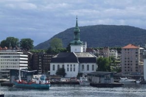ベルゲン：ベルゲンの歴史的建造物を巡る観光クルーズ