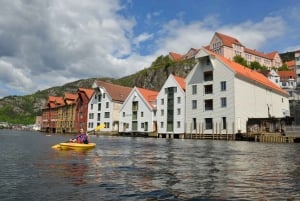 Bergen: crociera panoramica tra i punti di riferimento storici della città