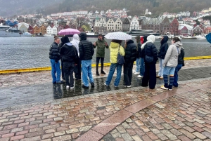 Bergen: Sightseeingtur til fods med færgetur