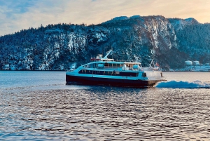 Bergen: Sightseeingtur til fods med færgetur