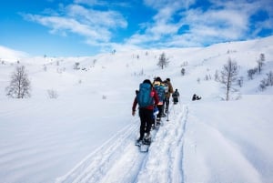 Bergen: Sneeuwschoenwandeling