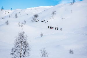 Bergen: Sneeuwschoenwandeling