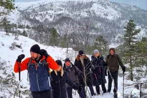 Bergen: Sneeuwschoenwandeling