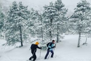 Bergen: Sneeuwschoenwandeling