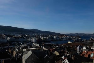 Bergen: ruta de senderismo urbano por la montaña y tour histórico