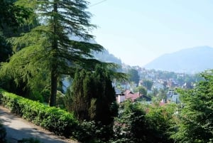 Bergen: ruta de senderismo urbano por la montaña y tour histórico