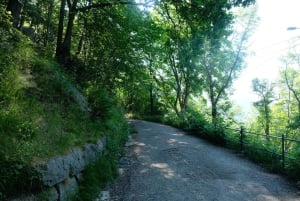 Bergen: ruta de senderismo urbano por la montaña y tour histórico