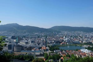 Bergen: ruta de senderismo urbano por la montaña y tour histórico