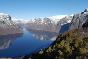 Bergen: Wikingerdorf, Nærøyfjord-Kreuzfahrt & Flåmbahn