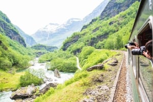 Bergen: Wikingerdorf, Nærøyfjord-Kreuzfahrt & Flåmbahn