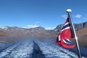 Bergen: Wikingerdorf, Nærøyfjord-Kreuzfahrt & Flåmbahn