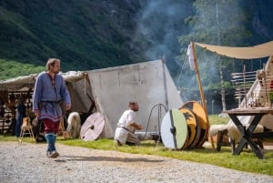 Bergen: Wikingerdorf, Nærøyfjord-Kreuzfahrt & Flåmbahn