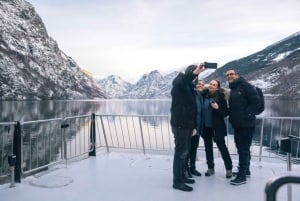 Bergen: Wikingerdorf, Nærøyfjord-Kreuzfahrt & Flåmbahn