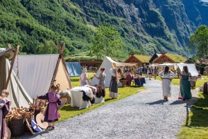 Bergen: Viking Village, Nærøyfjord & Flåm Day Trip