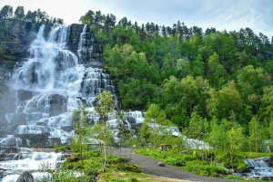 Bergen: Viking Village, Nærøyfjord & Flåm Day Trip