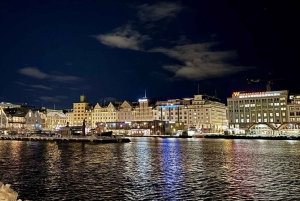 Bergen: Viking Village, Nærøyfjord & Flåm Day Trip