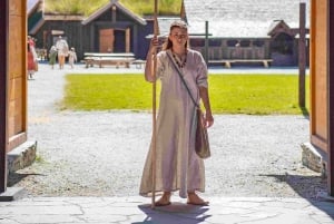Bergen: Viking Village, Nærøyfjorden Cruise og Flåm Railway