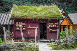 Bergen: Viking Village, Nærøyfjorden Cruise og Flåm Railway