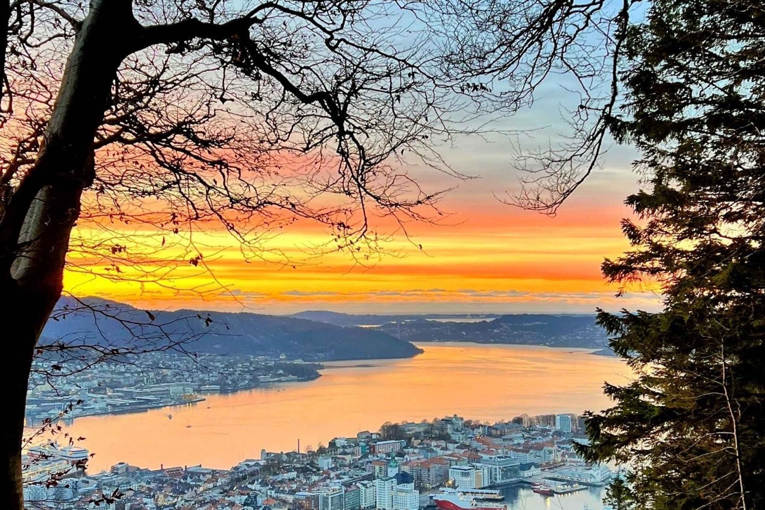 Bergen Walking Tour (Private)