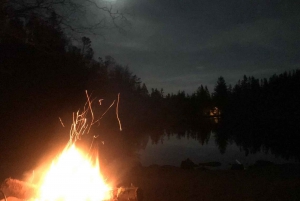 Bergen Winter Night Hike with Headlamps | ViFlowExperience