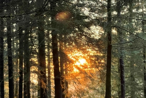 Bergen Winter Night Hike with Headlamps | ViFlowExperience