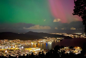 Bergen Winter Night Hike with Headlamps | ViFlowExperience
