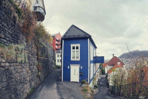 Bergen's Twilight Magic: An Evening Adventure