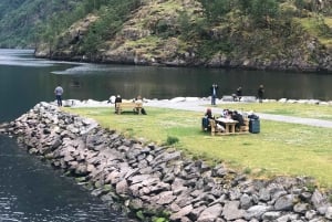 Bergen: kolejka Flam, punkt widokowy Stegastein i rejs po fiordach