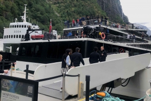 Bergen: kolejka Flam, punkt widokowy Stegastein i rejs po fiordach