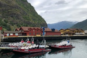 Bergen: kolejka Flam, punkt widokowy Stegastein i rejs po fiordach