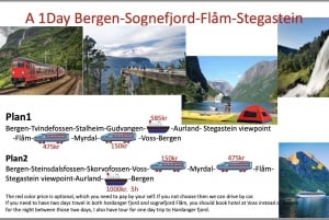 Privétour Hardangerfjord veerbootcruise vøringsfossen wandeltocht